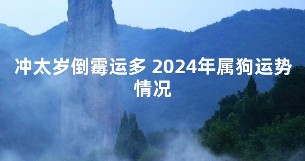 冲太岁倒霉运多 2024年属狗运势情况